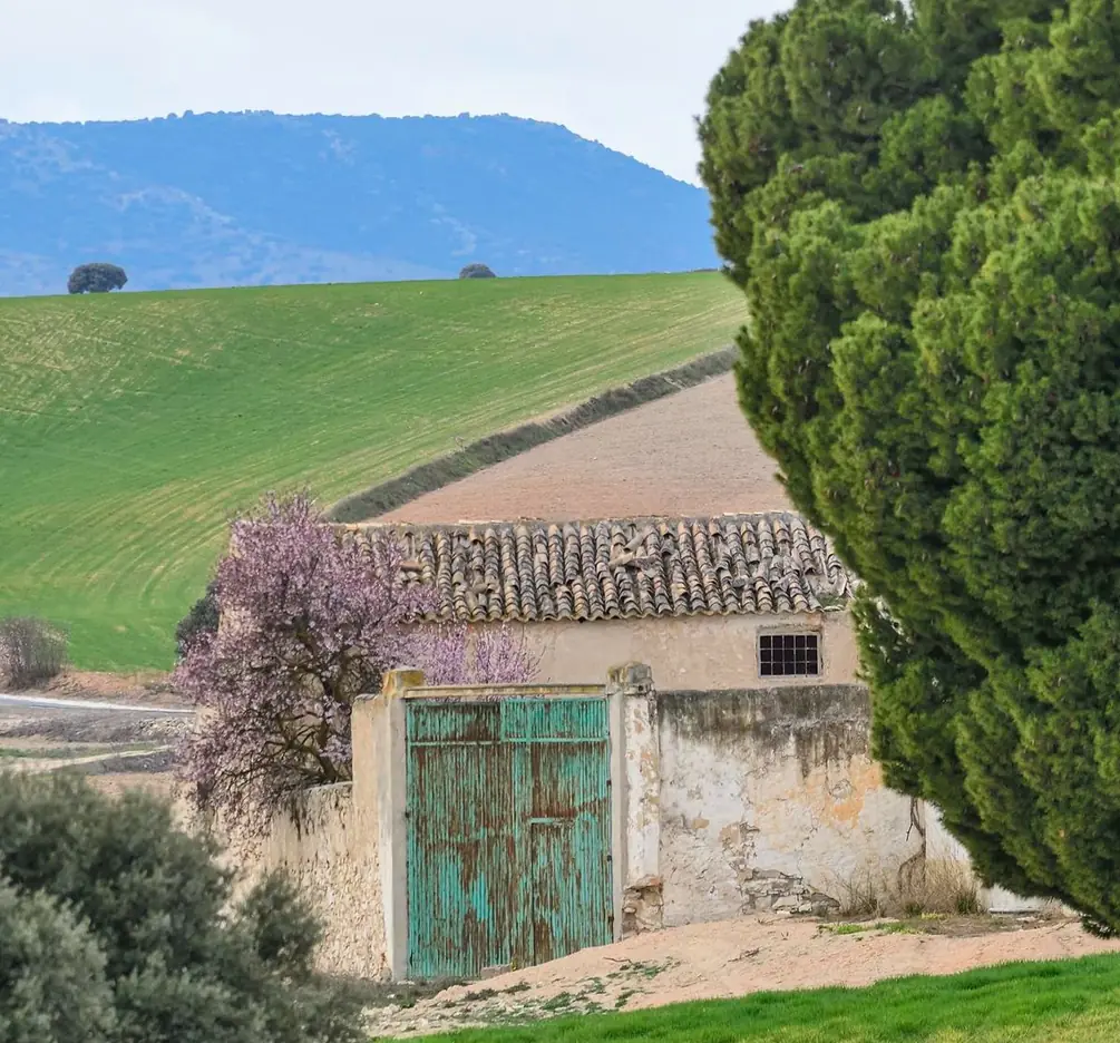 Ferme en pierre avec un portail vert et des cyprès